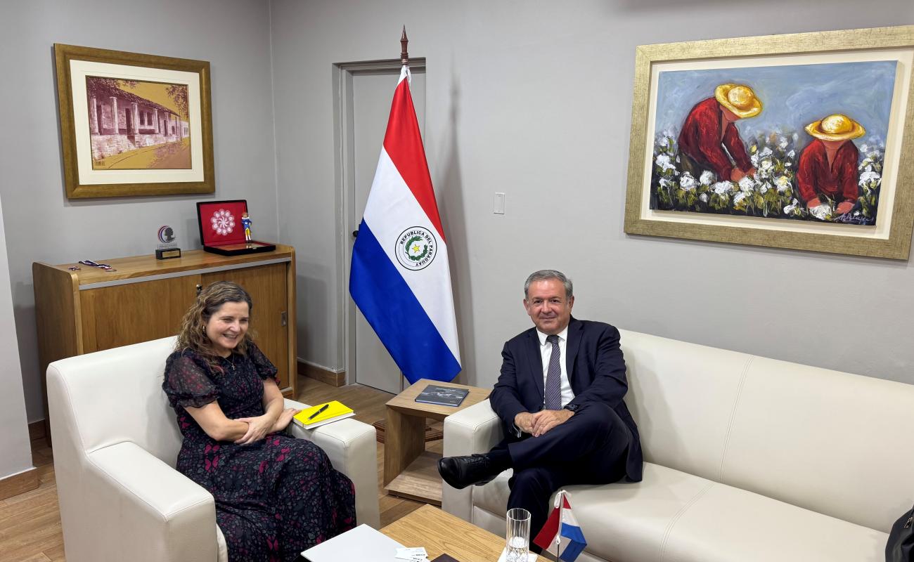 Narciso Casado en la reunión con la viceministra de Relaciones Económicas e Integración de Paraguay, Patricia Frutos