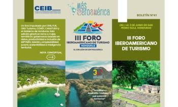 DISEÑO WEB NEWSLETTER 41