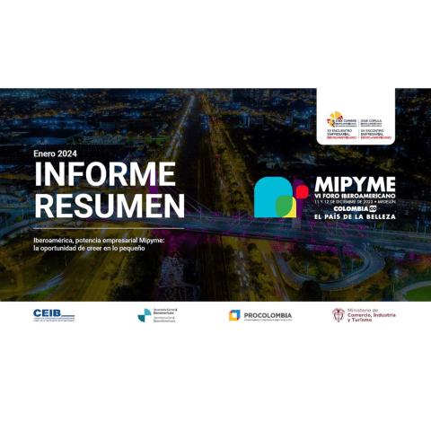 foro mipymes resumen